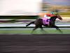 Took this day at the Santa Anita race track in California... Playing the ponies is always a lot of fun...