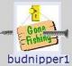 budnipper1's Avatar